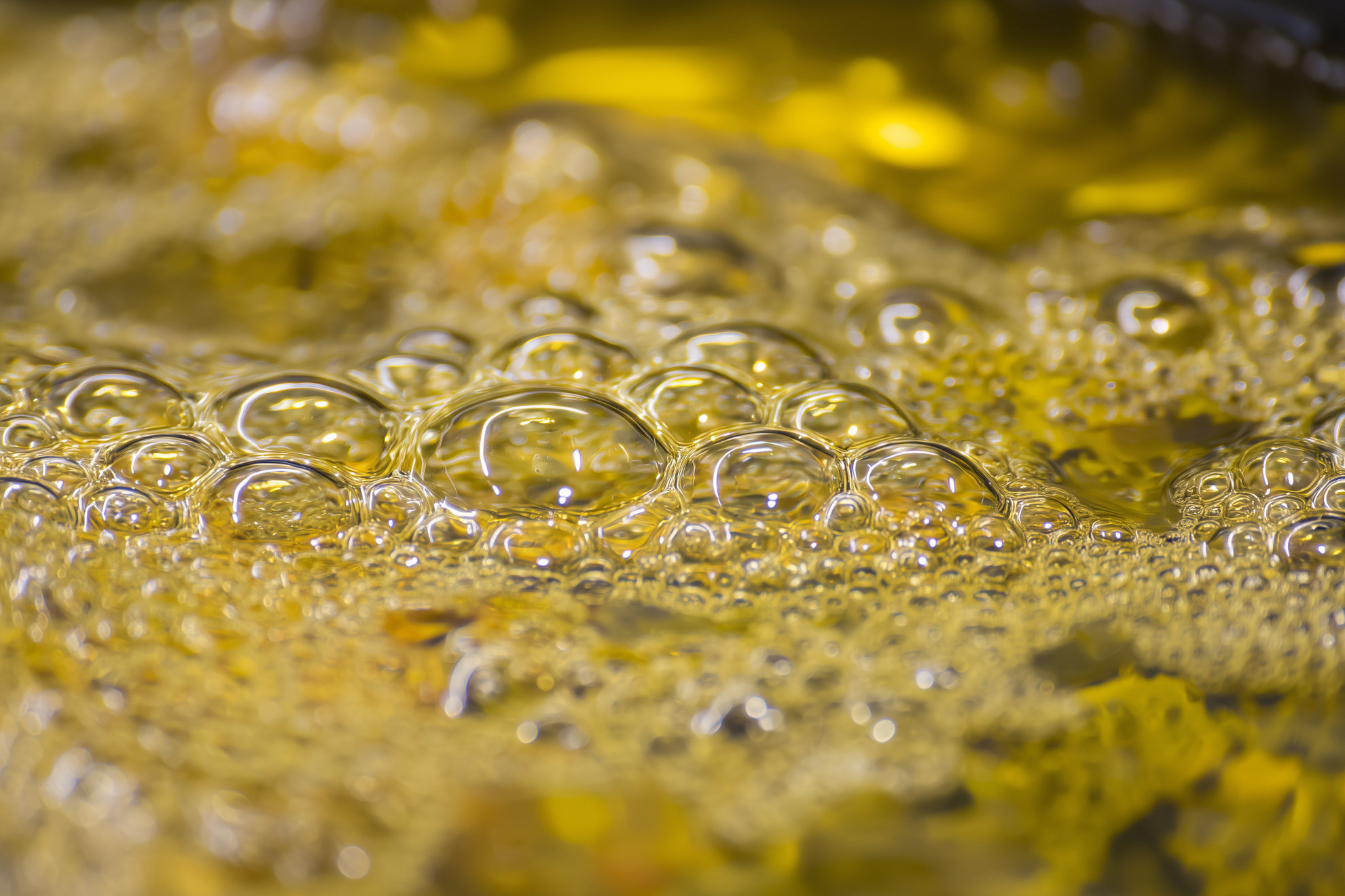 Beautiful Clean Golden yellow frying oil is bubbling after Frylow is submerged in the oil.